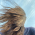 Avatar for buganini from gravatar.com