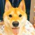 Avatar for zhiyue from gravatar.com