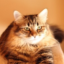 Avatar for Ethan from gravatar.com