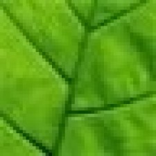 Avatar for Sixing Huang from gravatar.com