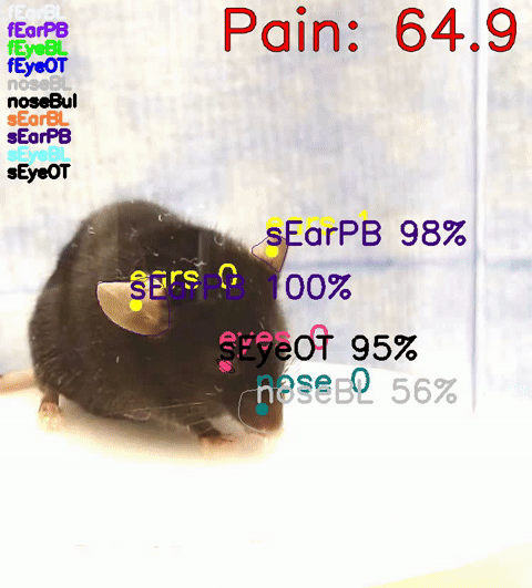 High-CNO overlay
