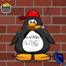 Avatar for Vivek from gravatar.com