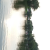 Avatar for ycfkjc from gravatar.com