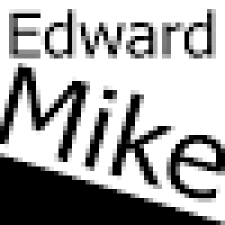 Avatar for Tanarak Willmer from gravatar.com