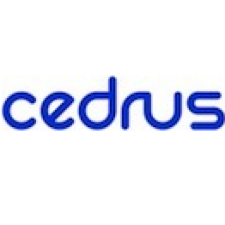 Avatar for cedrusdev from gravatar.com