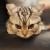 Avatar for jaycrys from gravatar.com
