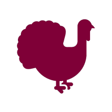 Avatar for Pixelboys_TM from gravatar.com