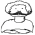Avatar for sockmysox from gravatar.com