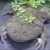 Avatar for frogstair from gravatar.com