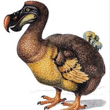 Avatar for Ronald Tanner from gravatar.com