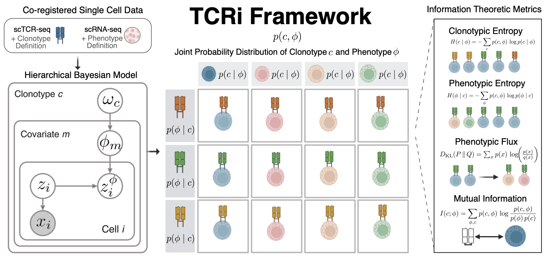 TCRi framework