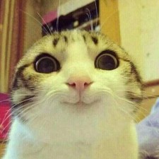 Avatar for Konstantin Volzhenin from gravatar.com