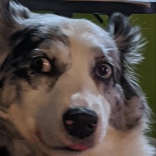 Avatar for Sam Chapler from gravatar.com