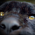 Avatar for WenchillZhao_123 from gravatar.com
