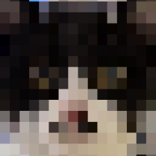 Avatar for Jialun Li from gravatar.com