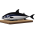 Avatar for odashi from gravatar.com