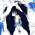 Avatar for blaite from gravatar.com