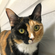 Avatar for 정기윤 from gravatar.com