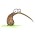 Avatar for djw.hope from gravatar.com
