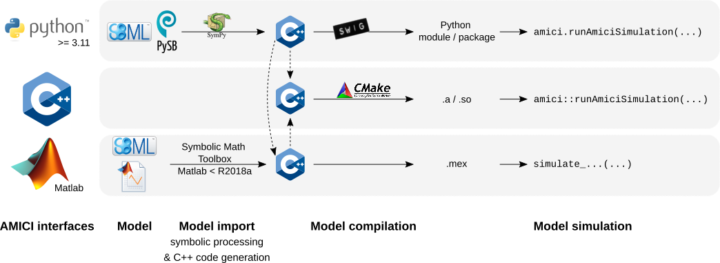 AMICI workflow