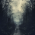 Avatar for astrophel from gravatar.com