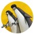 Avatar for sudachen from gravatar.com