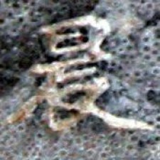 Avatar for gcd0318 from gravatar.com