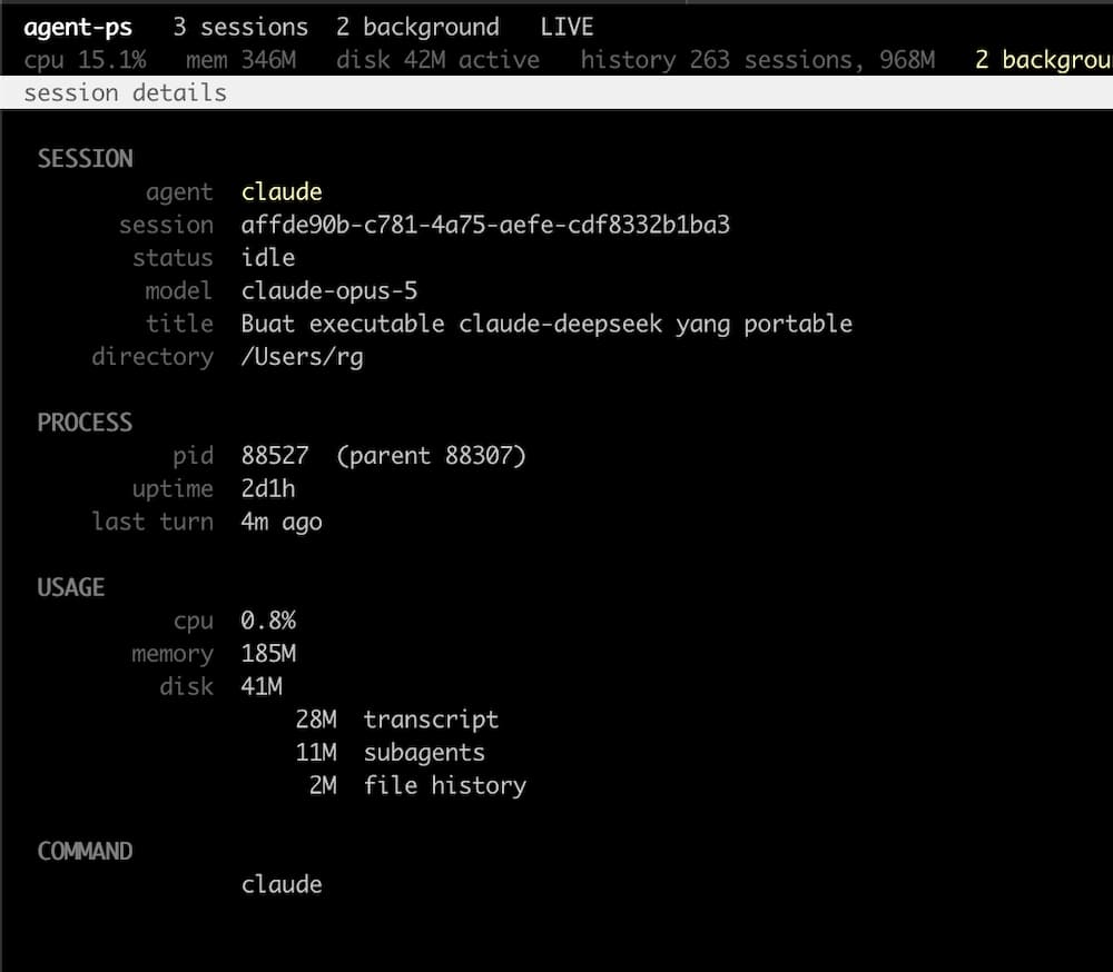 The detail panel for a Claude Code session, in four groups. Session: agent, id, status, model, title and directory. Process: pid with its parent, uptime, and time since the last turn. Usage: cpu, memory, and a 41M disk total broken into 28M of transcript, 11M of subagent logs and 2M of file history. Command: the command line that started it.