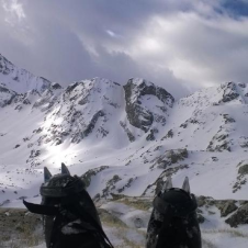 Avatar for Ronaldo Vecchi from gravatar.com