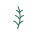 Avatar for fernforge from gravatar.com