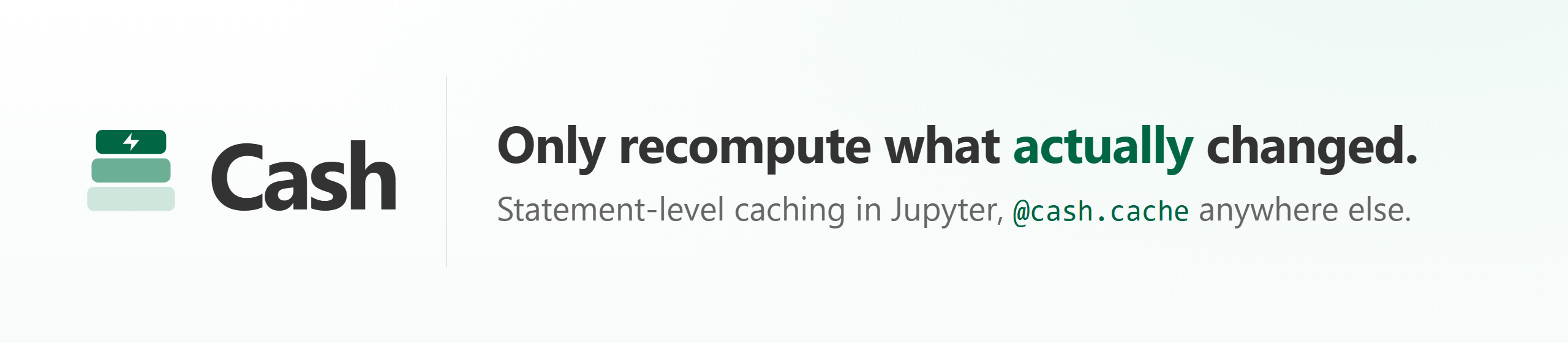 Cash — only recompute what actually changed. Statement-level caching in Jupyter, @cash.cache anywhere else.