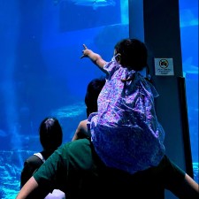 Avatar for Hiroyuki Tanaka from gravatar.com