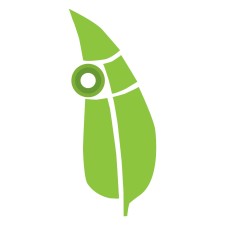 Avatar for juzheng from gravatar.com