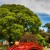 Avatar for ZRYYOU163 from gravatar.com