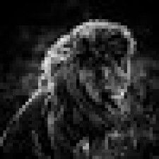 Avatar for Fast_Alberto from gravatar.com