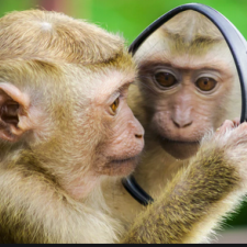 Avatar for Dheeraj M Pai from gravatar.com