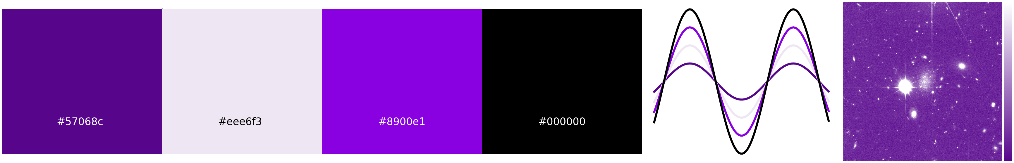 NYU_summary