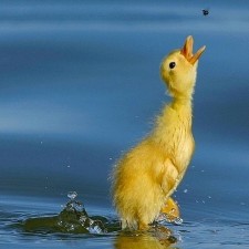 Avatar for otilmans from gravatar.com