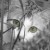 Avatar for beekill from gravatar.com