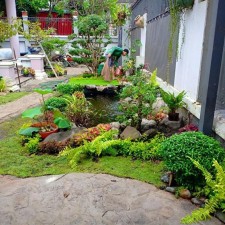 Avatar for Thiết Kế Sân Vườn Việt from gravatar.com