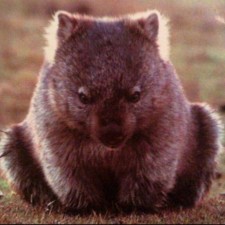 Avatar for Alexander Y. Wagner from gravatar.com