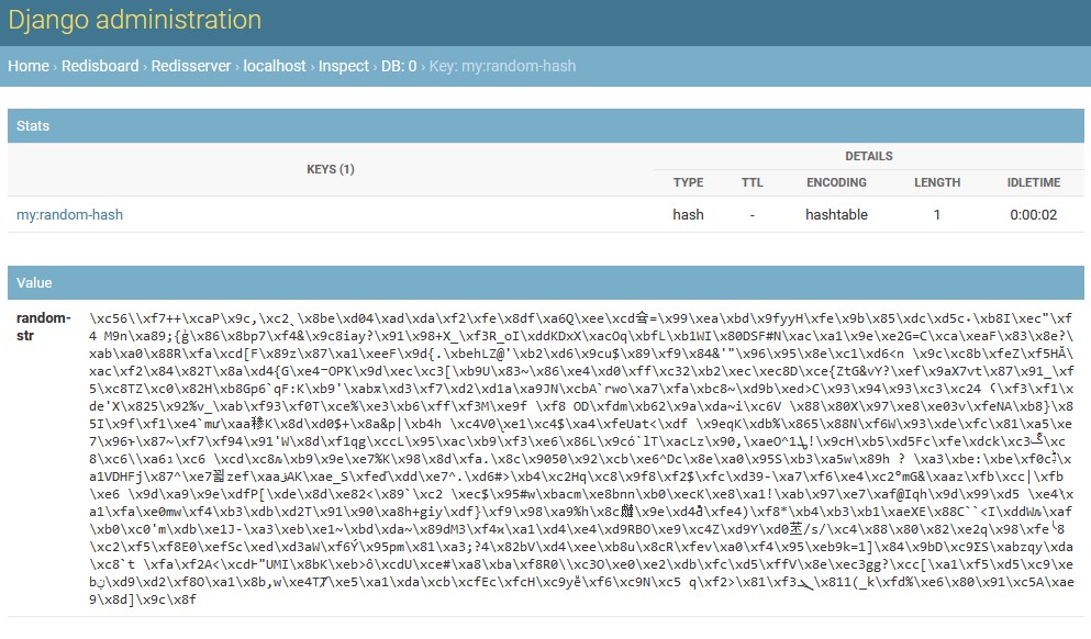 Screenshot of inspecting a hash with binary values