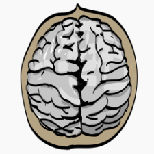 Avatar for walnutgeek from gravatar.com