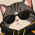 Avatar for anuress from gravatar.com