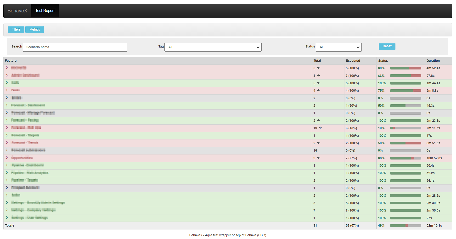 test execution report