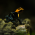 Avatar for 123456789wolfie from gravatar.com