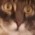 Avatar for tirameZu from gravatar.com