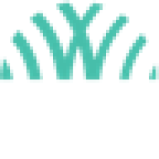 Avatar for Worldline Solutions iO from gravatar.com