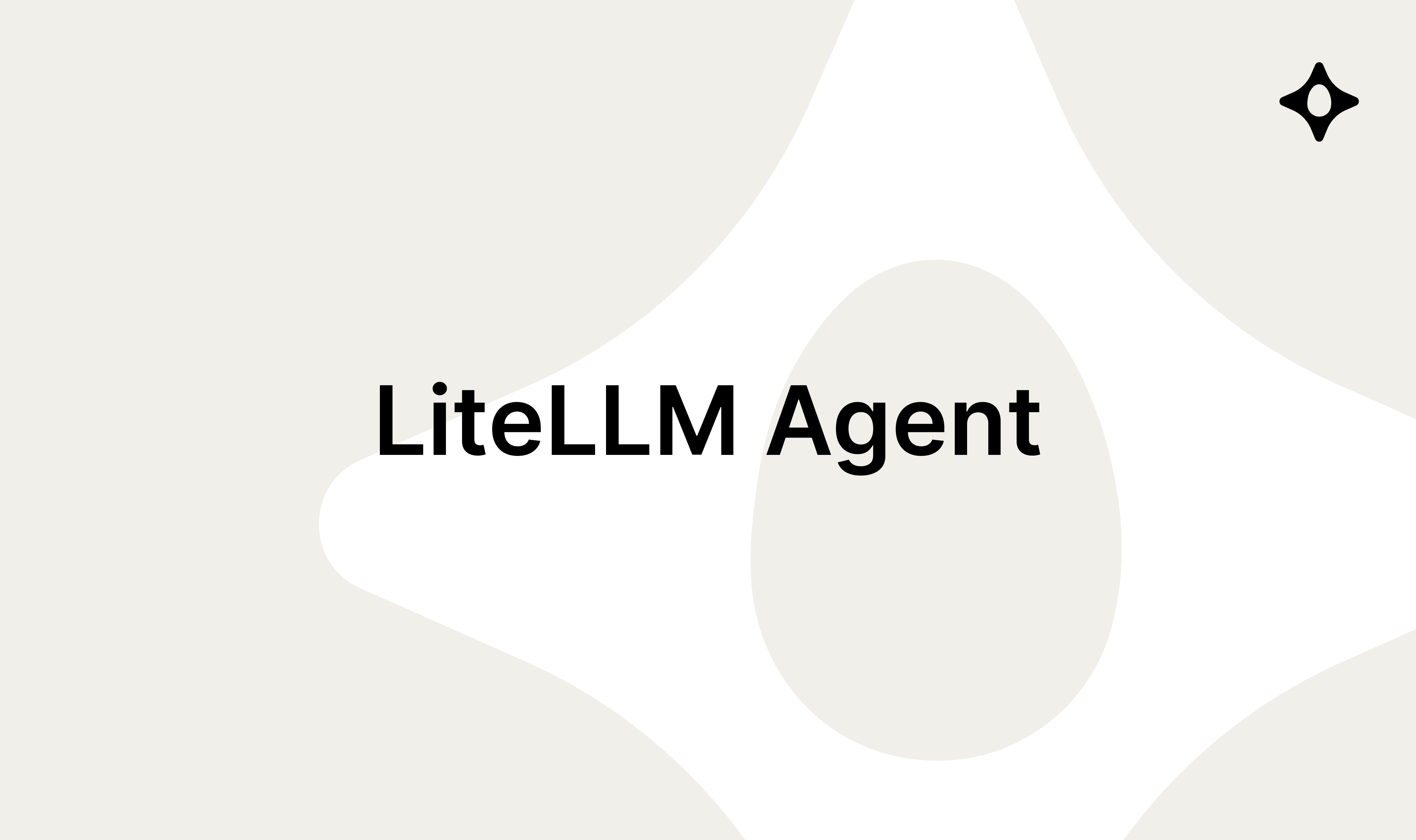 LiteLLM Agent