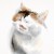 Avatar for junhan from gravatar.com